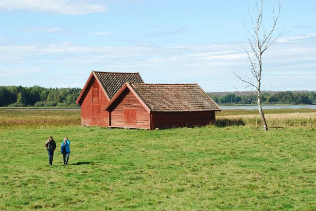 Old hay barns close to the lake Fläckesjön and its shore meadows.