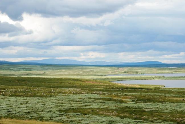 Tjålmejaure and surroundings