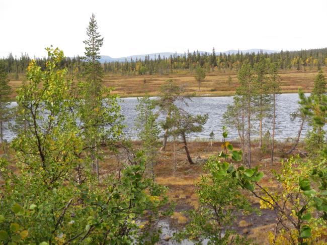 Landscape view from bicycle path.