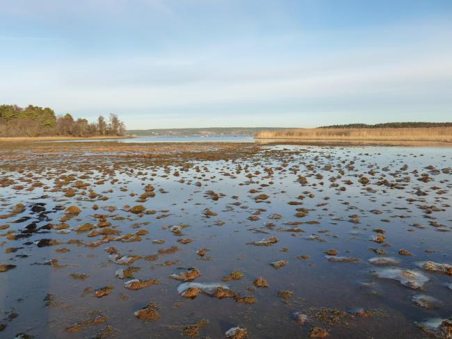 The waterfront in Svensksundsviken. 