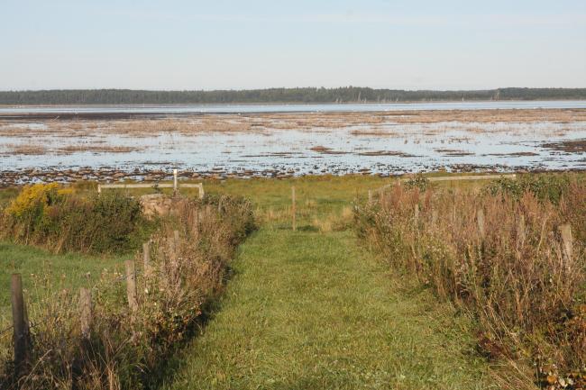 Hornborgasjön