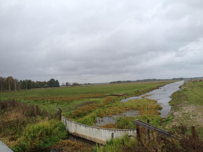 Hammarmaden in the nature reserve Kvismaren.