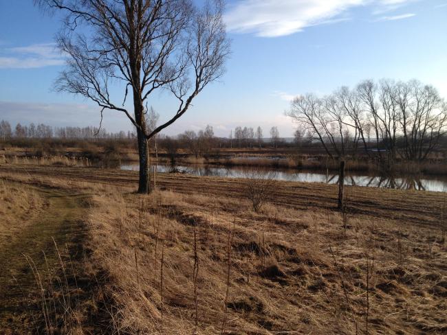 View from Öby hill towards Kvismare channel.