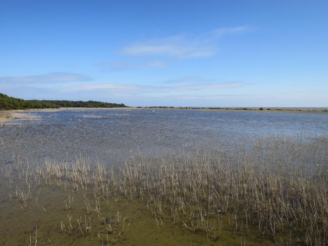 Sesonal flooded land at Grötlingboudd