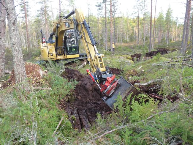 Restoration of hydrology: Excavator filing ditch