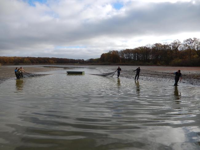 Activités économiques : pêche (CELRL)