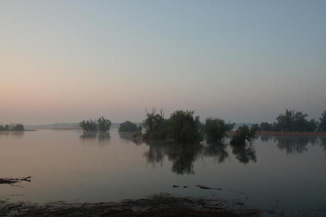 Kopački rit