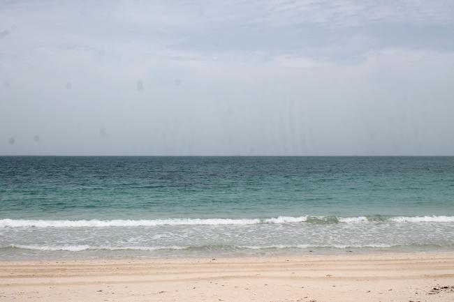 Jabal Ali Wetland Sanctuary Coastal Area