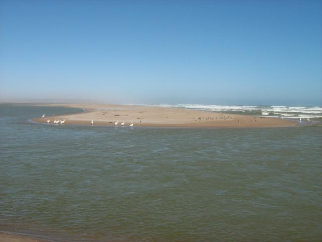 The Orange River Mouth from the Namibian side looking south.  Pelicans, cormorants and large flocks of terns are using the sandspit as a roost.
