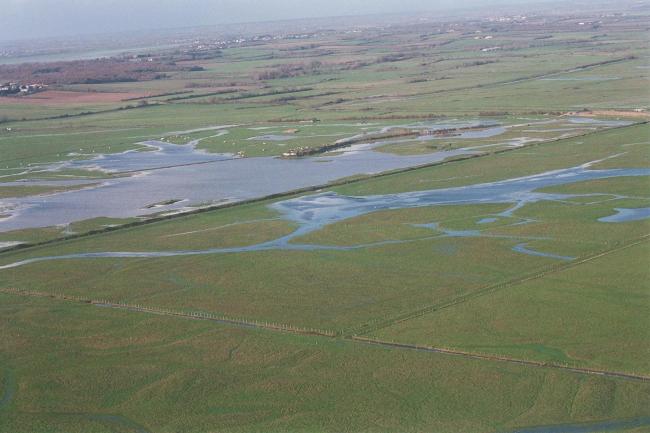 Prairies inondées 