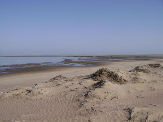 View across the lagoon at low tide, looking north-west.
