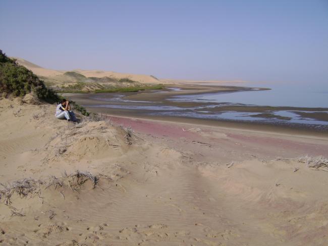 Looking south along the edge of the lagoon.