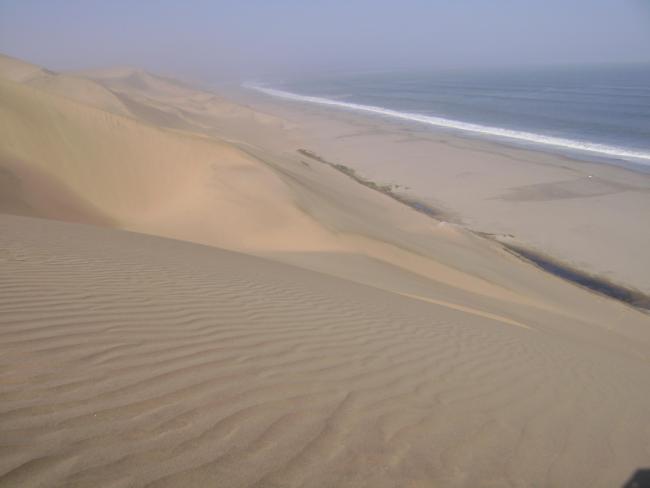 Remains of the northern, freshwater wetland, looking south.