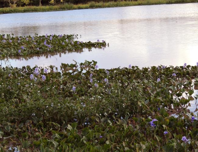 World Wetlands Day Photo Contest