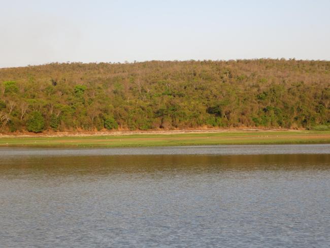Forêt sèche en bordure du lac Ravelobe