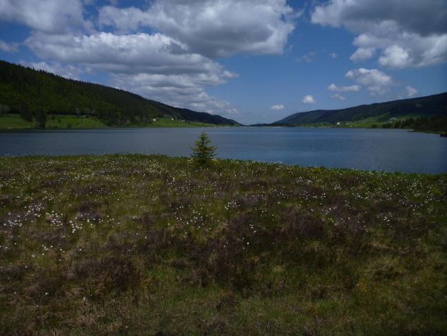 Tourbière et lac des Rousses - Vallée de l'Orbe