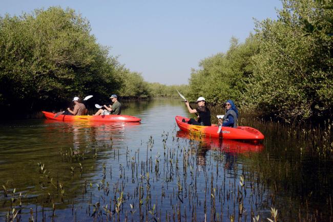 Al Qurm Nature Reserve