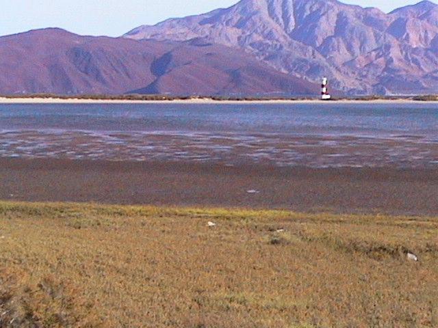 Estero Punta Arena