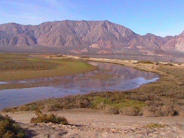Estero del Rincón