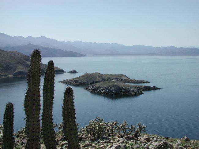 Isla Gemilito