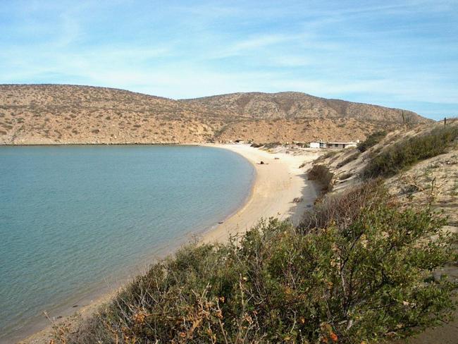 Playa San Francisquito