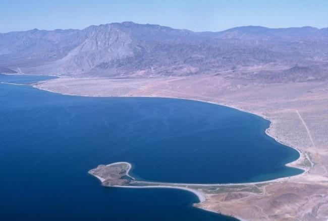 Punta La Gringa