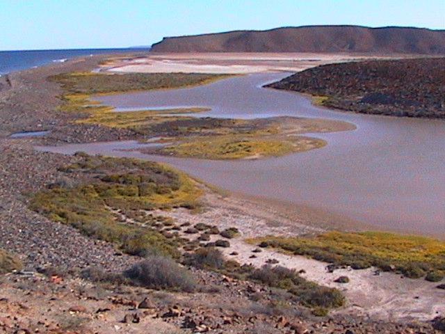 Punta María