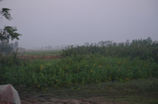 Moyen Niger II