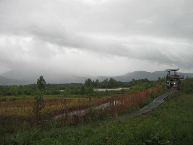 watchtower in the "Kollerfilze"