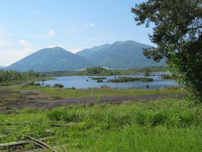 "Kollerfilze" view