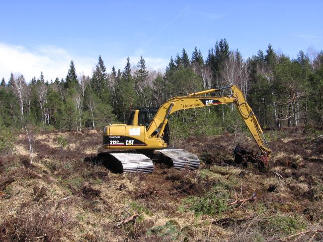 bog restoration in the "Hochrunstfilze"