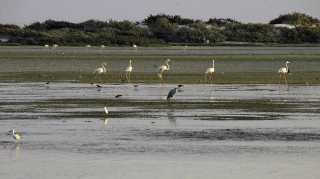 Kinasah lagoon
