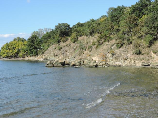 The bay.
The photo was taken during a field study part of the preparation of the Ropotamo Reserve Management Plan.