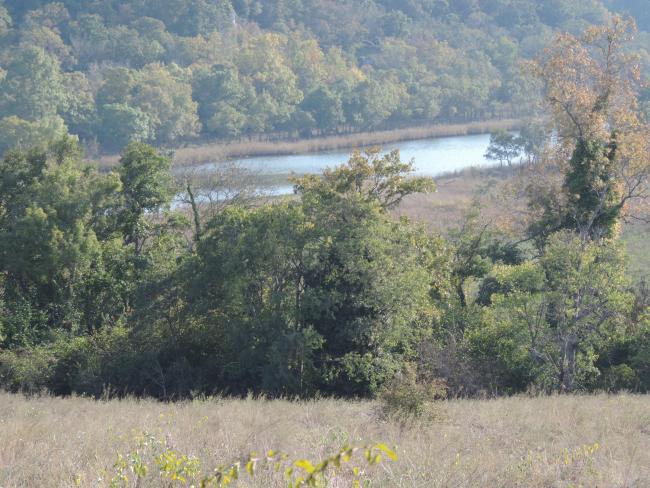 Ropotamo River.
The photo was taken during a field study part of the preparation of the Ropotamo Reserve Management Plan.
