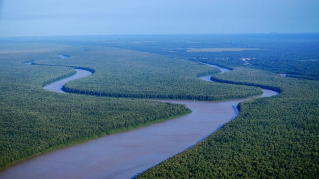 Fleuve crique Yiyi