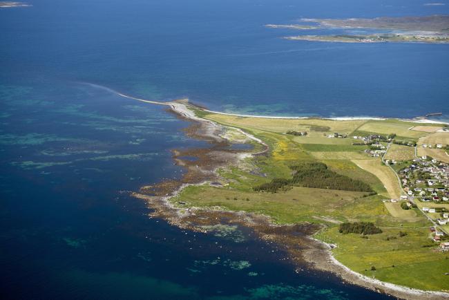 Giske Bird Sanctuary