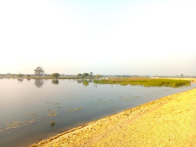 Eastern part of Pyu Lake during dry season. Open water with algae and tall grasses are visible.