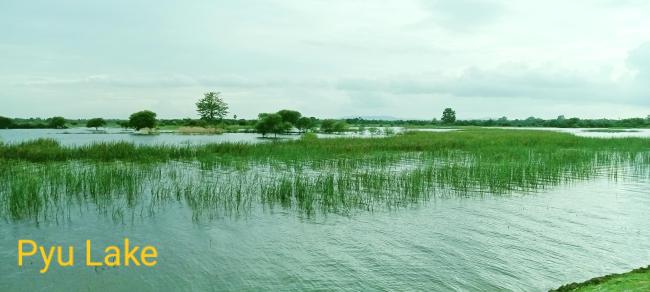 Southern part of the Lake during rainy season