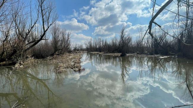 Photograph of the flood basin.