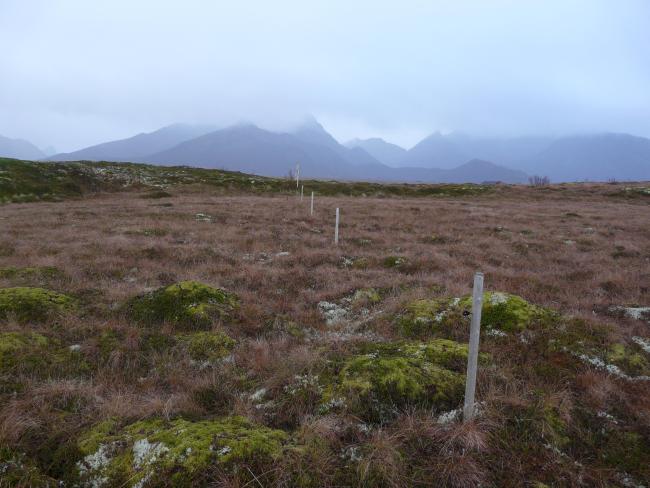 Grunnfjorden