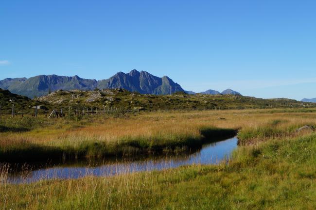 Laukvikøyene