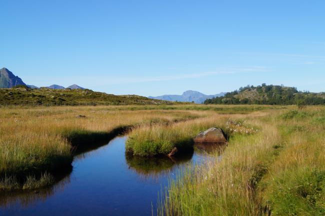 Laukvikøyene