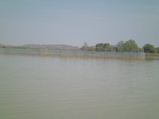Enclos de pisciculture dans le lac