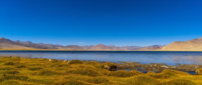Panoramic view of the freshwater lake of Startsapuk Tso, situated in the Tso Kar basin.