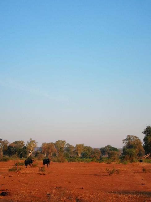 dry season game utilization of the floodplain