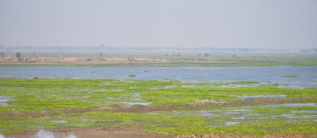 Landscape view of Udhwa Lake Bird Sanctuary