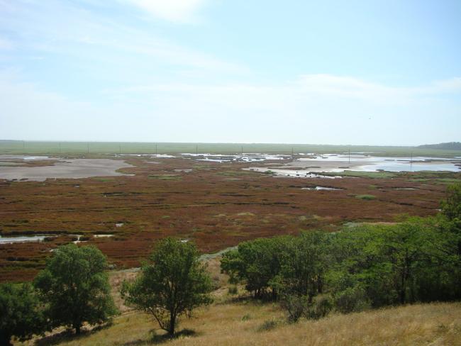 Floodplain lakes in Berda mouth