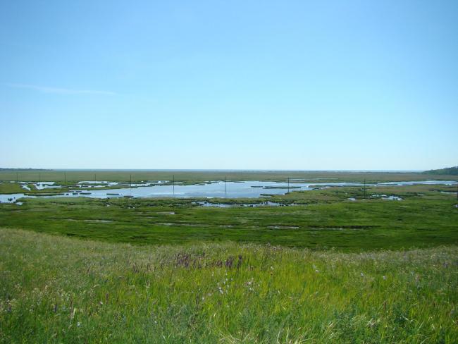 Floodplain lakes in Berda mouth