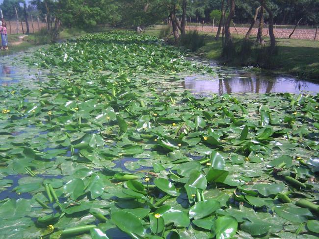 Lac Oubeira