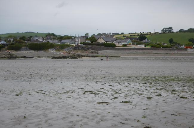 Cork Harbour